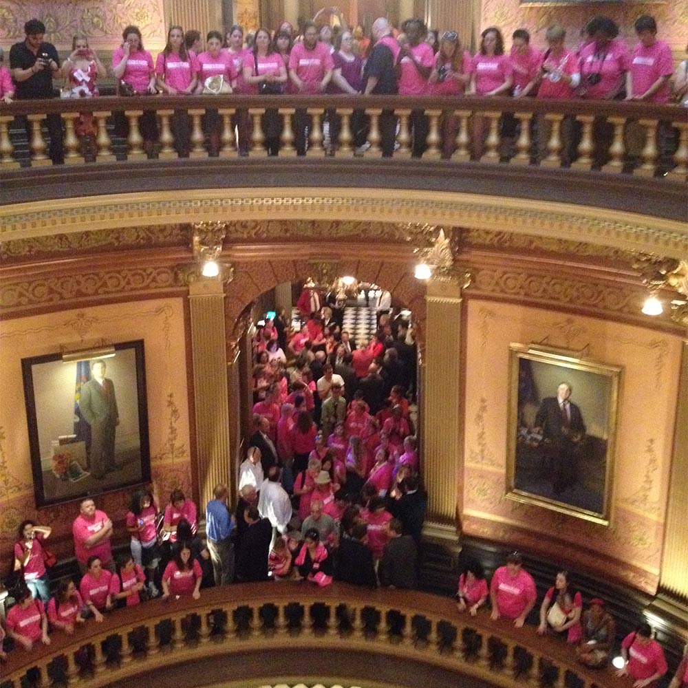 Hundreds of protesters with matching pink shirts showed up at Michigan's Capitol to protest an extreme law attacking women's health.