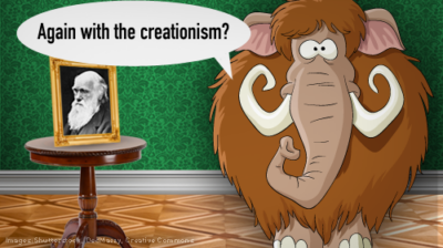 2+2=5? Why South Carolina's Creationism Compromise Doesn't Add Up