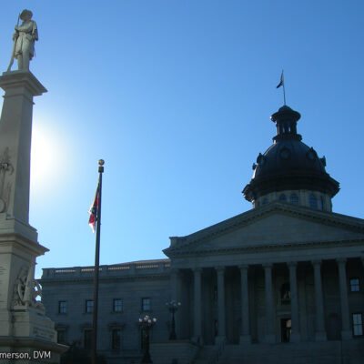 The Confederate Monument in South Carolina
