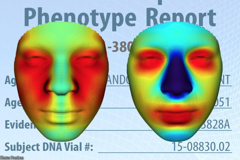 Computerized face reconstruction from Parabon report