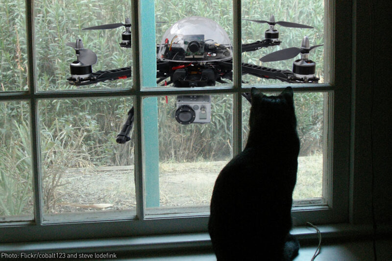 Drone outside window with cat
