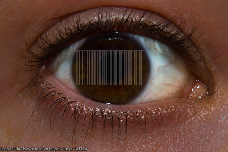 Eye with barcode in it