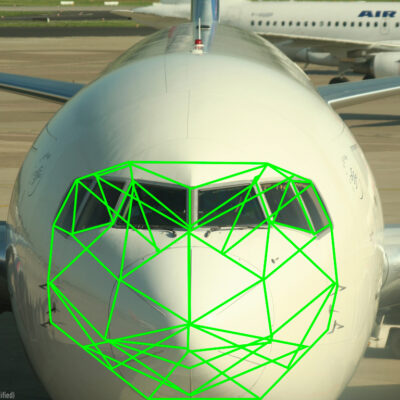 Plane with Face Recognition Graphic