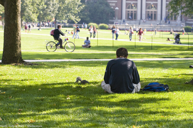 Student reading on the campus lawn
