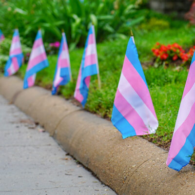 Trans flags on a lawn