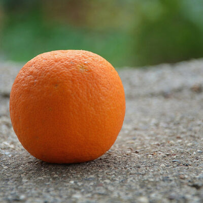 An orange on the ground
