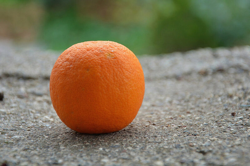 An orange on the ground