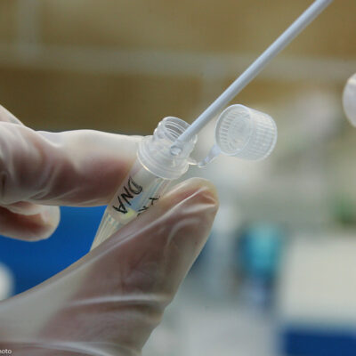 Chemist testing a DNA sample tube in a lab with a cotton swab. Tube labeled DNA.