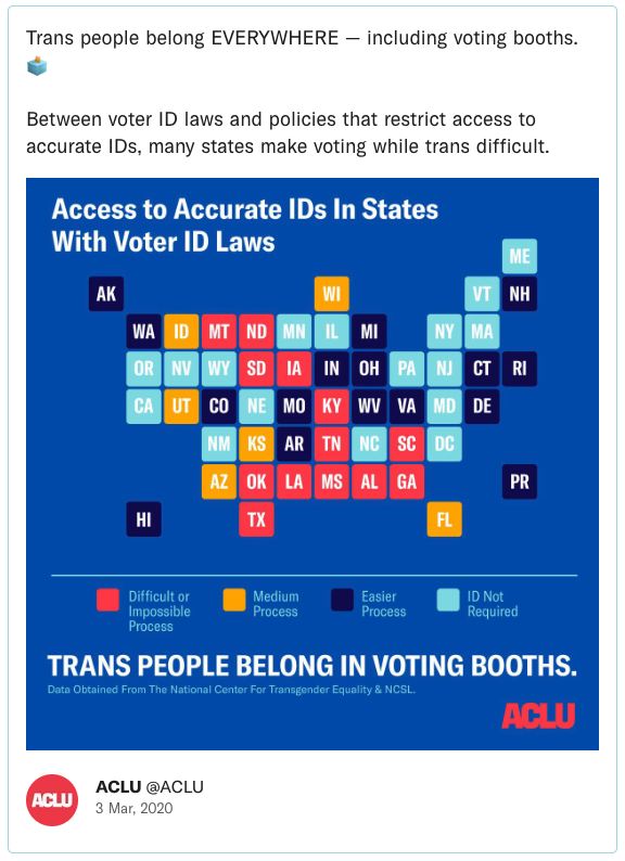 Trans people belong EVERYWHERE — including voting booths. Between voter ID laws and policies that restrict access to accurate IDs, many states make voting while trans difficult.