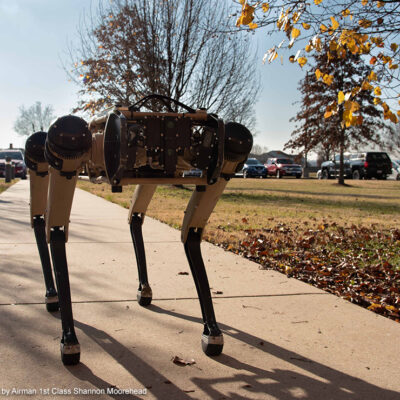A semi-autonomous robot dog walking on a sidewalk.