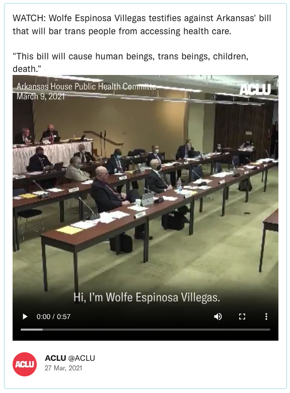 WATCH: Wolfe Espinosa Villegas testifies against Arkansas' bill that will bar trans people from accessing health care. "This bill will cause human beings, trans beings, children, death."