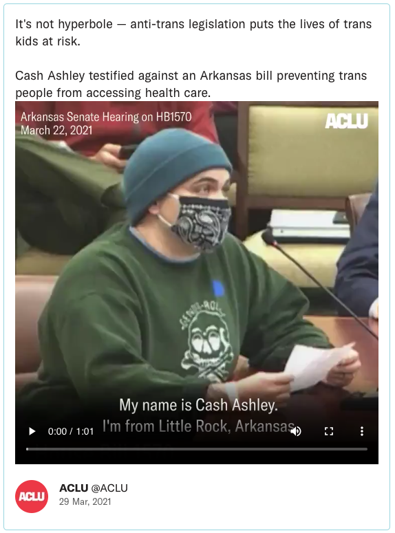 It's not hyperbole — anti-trans legislation puts the lives of trans kids at risk. Cash Ashley testified against an Arkansas bill preventing trans people from accessing health care.
