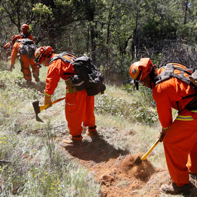 Inmate firefighters creating a fire line.