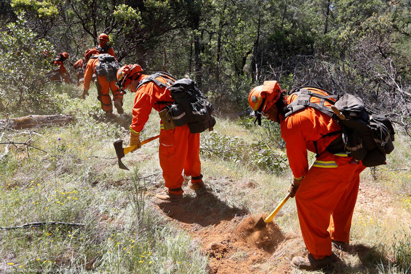 Inmate firefighters creating a fire line.